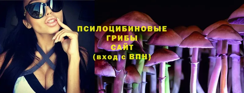 Псилоцибиновые грибы Cubensis  Лангепас 